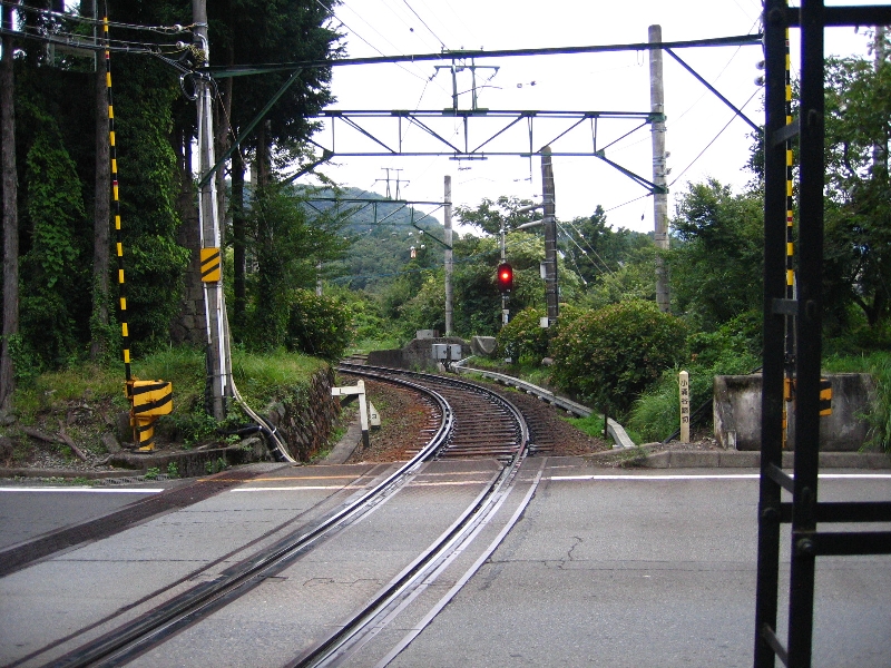 resize_img_3194.jpg