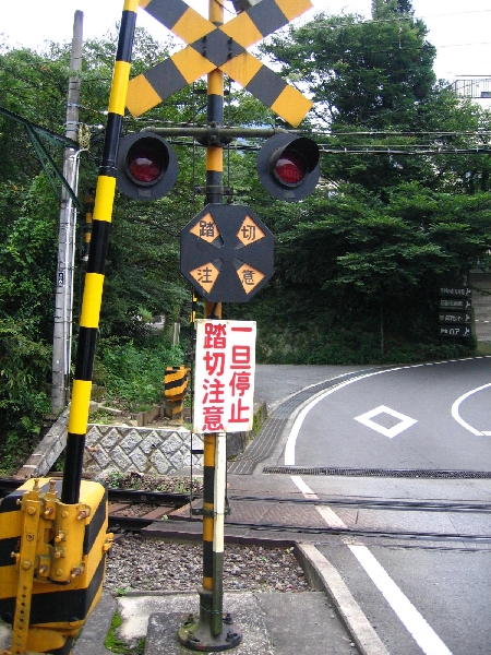 resize_img_3195.jpg