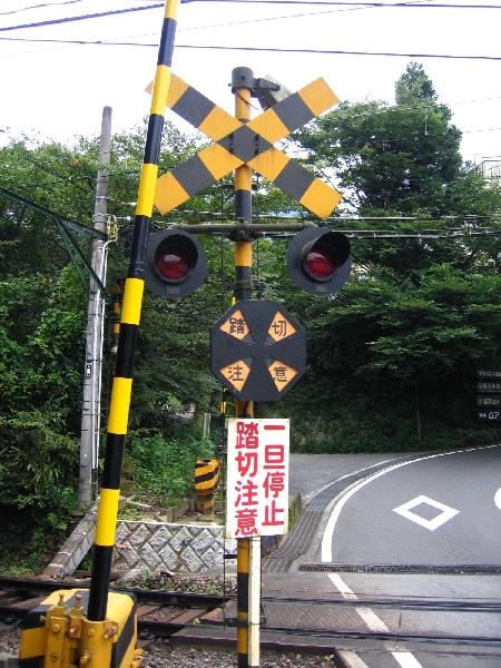 resize_img_3196.jpg