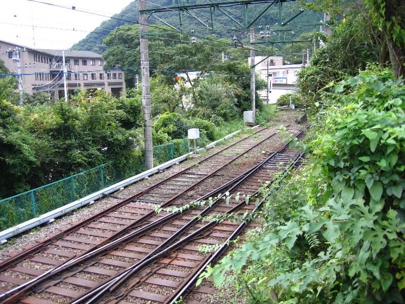 resize_img_3200.jpg