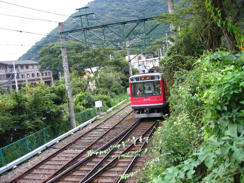 resize_img_3201.jpg
