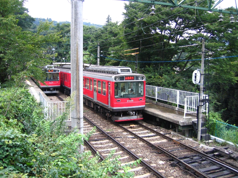 resize_img_3203.jpg