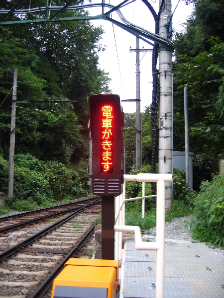 resize_img_3204.jpg