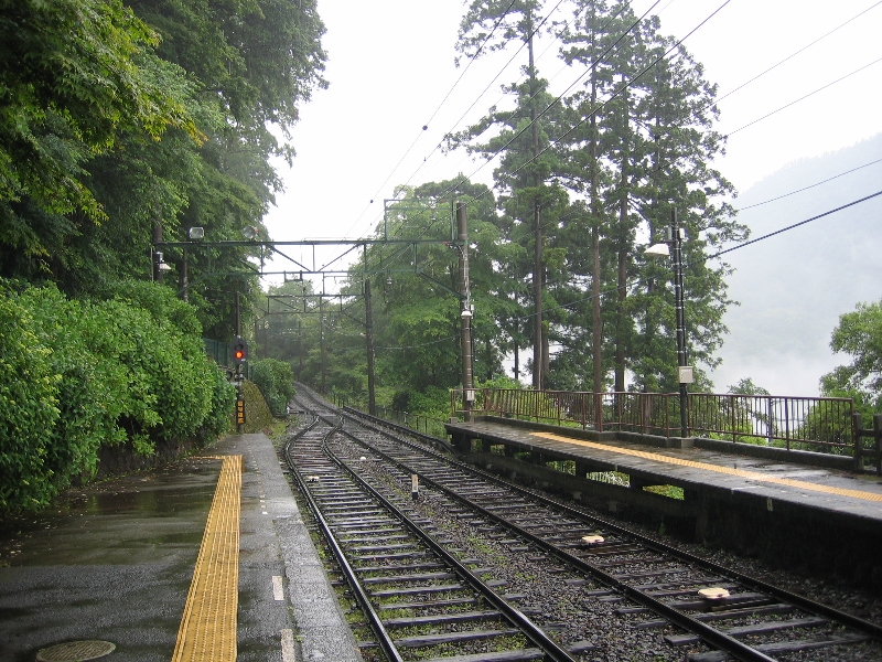 resize_img_2351.jpg