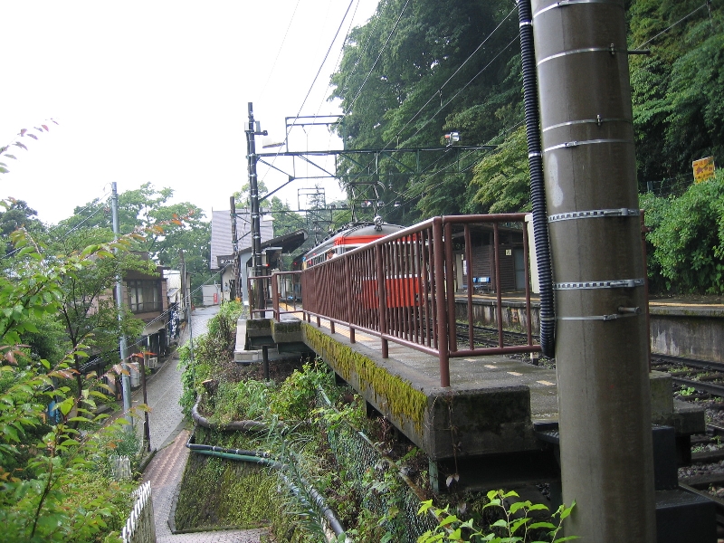 resize_img_2365.jpg