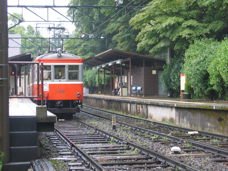 resize_img_2367.jpg