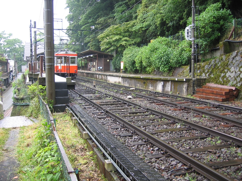 resize_img_2368.jpg
