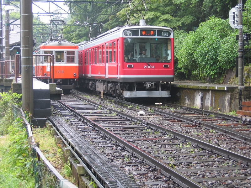resize_img_2369.jpg