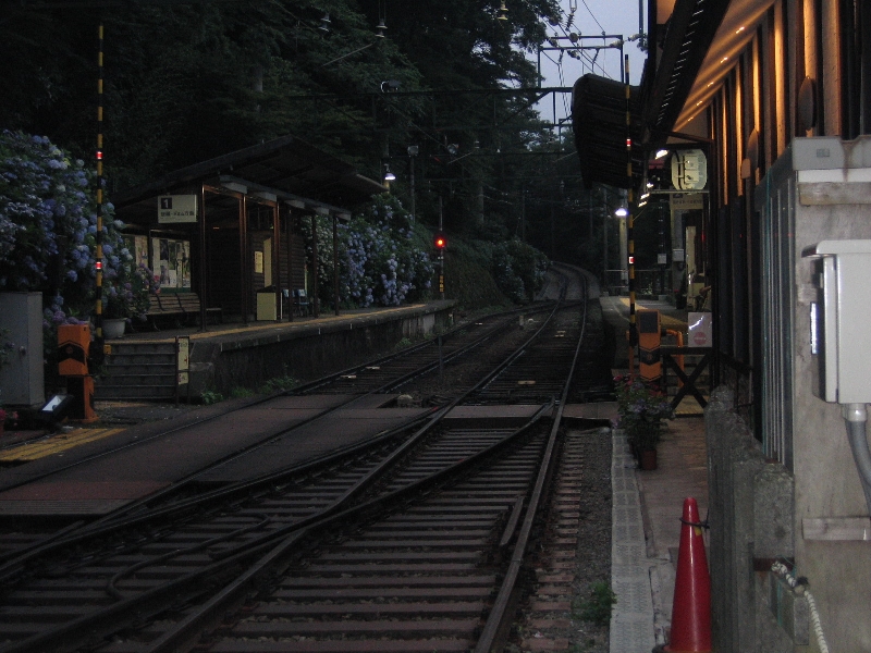 resize_img_2699.jpg