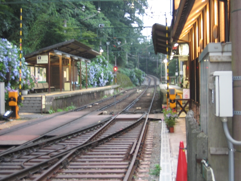 resize_img_2700.jpg
