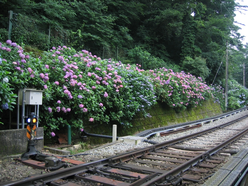resize_img_2702.jpg