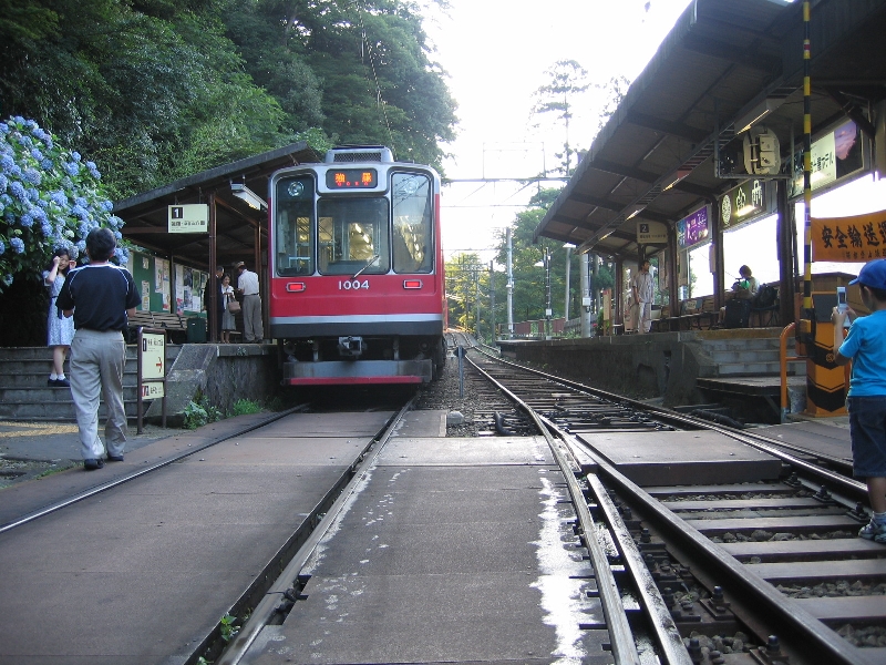 resize_img_2894.jpg