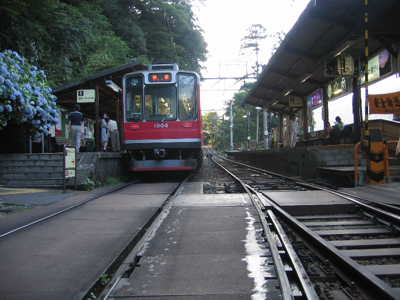 resize_img_2895.jpg