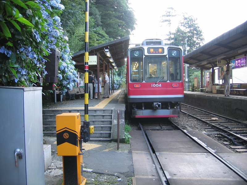 resize_img_2896.jpg