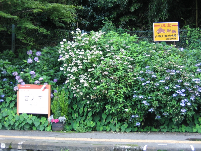 resize_img_2898.jpg