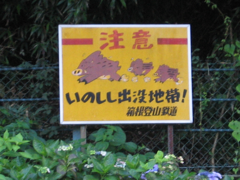 resize_img_2901.jpg