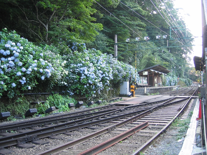 resize_img_2902.jpg