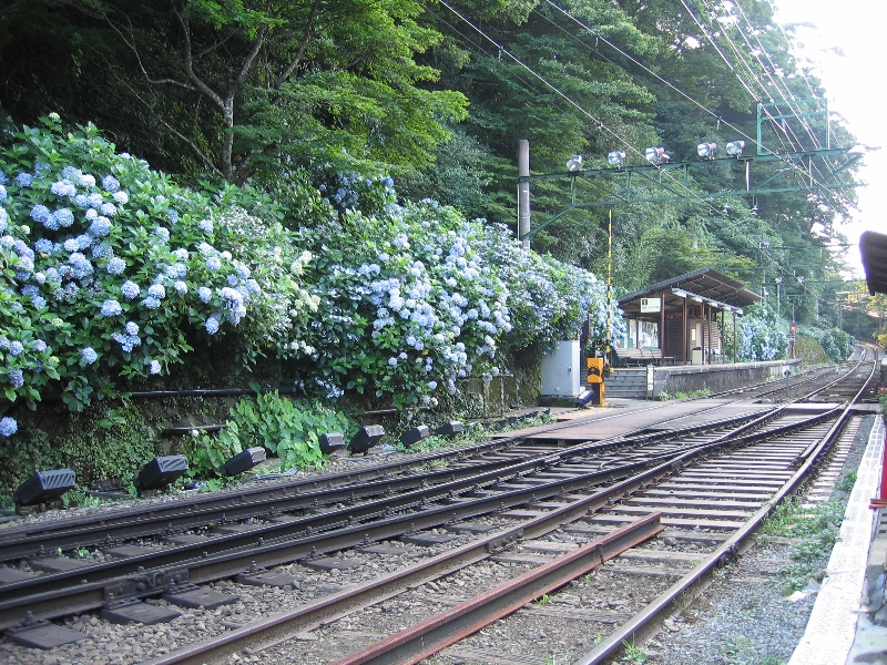 resize_img_2903.jpg