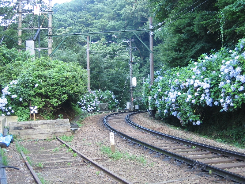 resize_img_2905.jpg