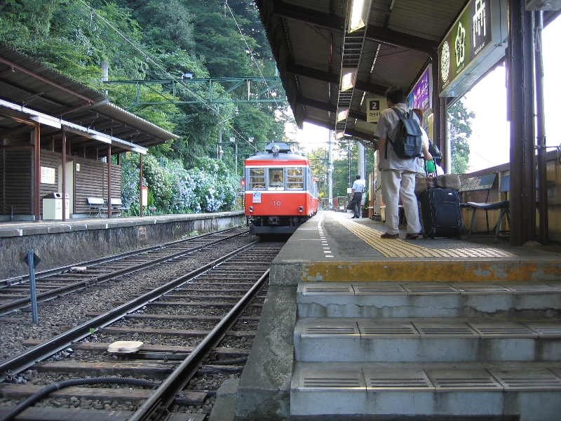 resize_img_2907.jpg