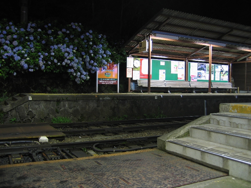 resize_img_2959.jpg