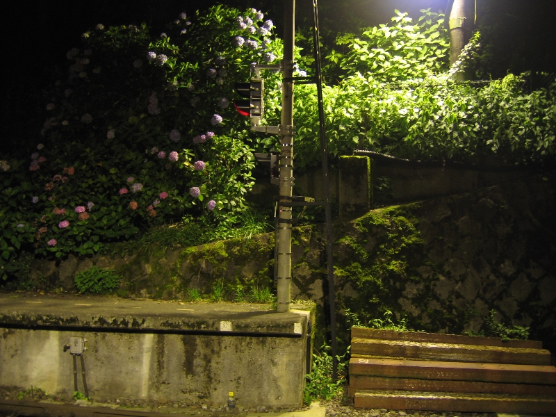 resize_img_2964.jpg