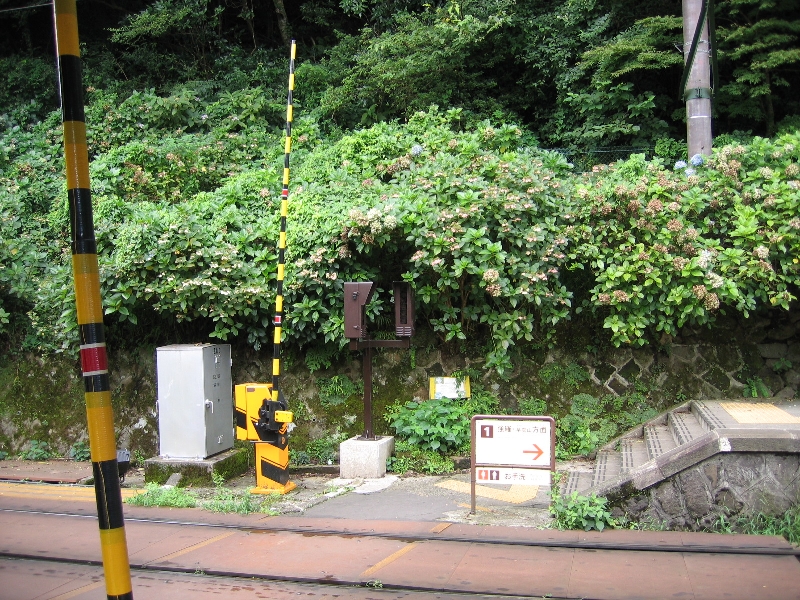 resize_img_3079.jpg