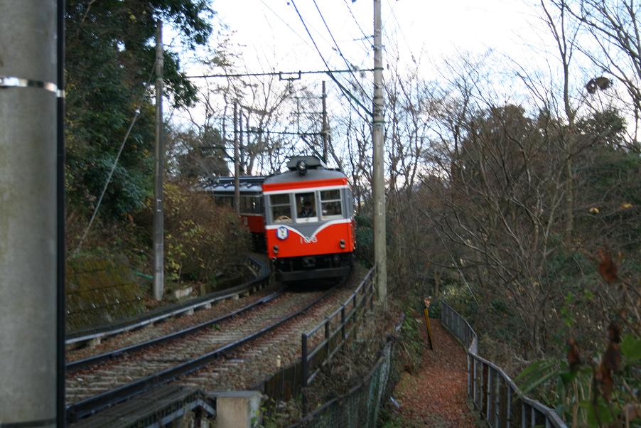 resize_img_3271.jpg