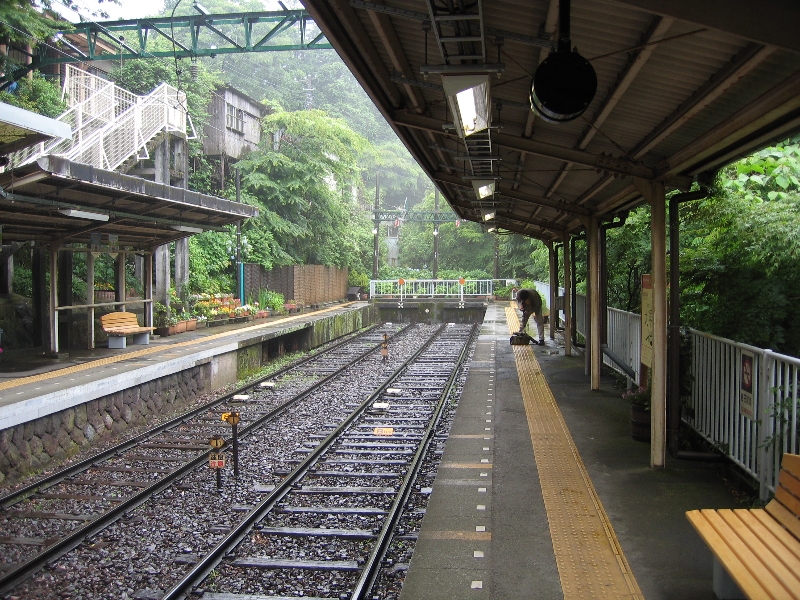 resize_img_2337.jpg