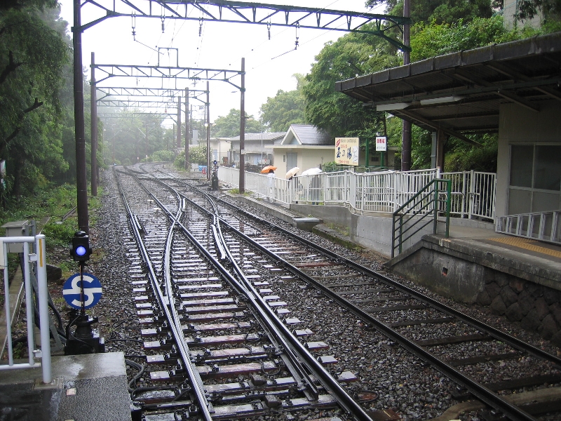resize_img_2338.jpg