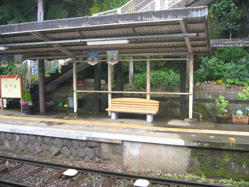 resize_img_2339.jpg