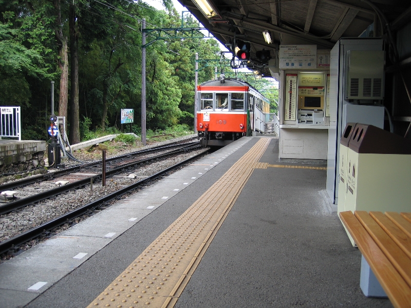 resize_img_2490.jpg