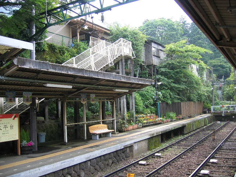 resize_img_2492.jpg