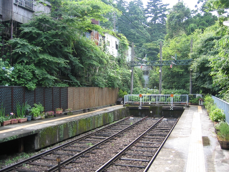 resize_img_2493.jpg