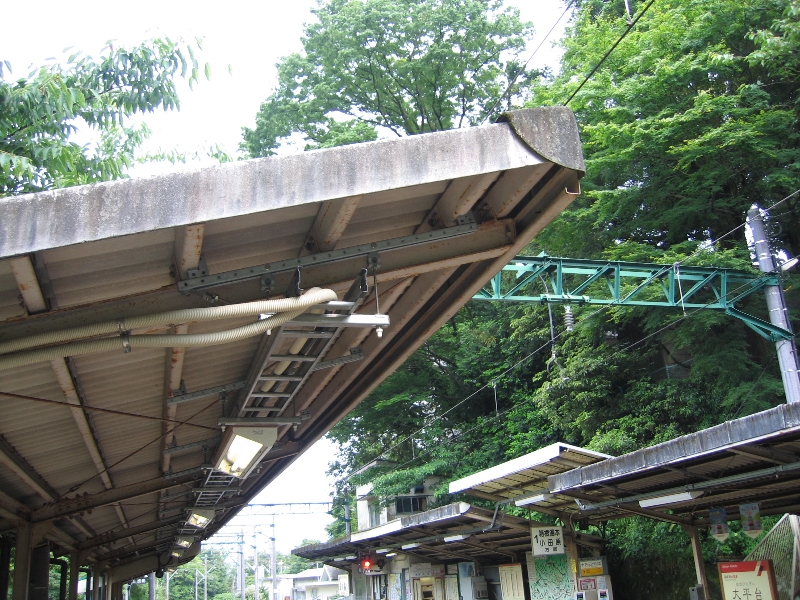 resize_img_2494.jpg