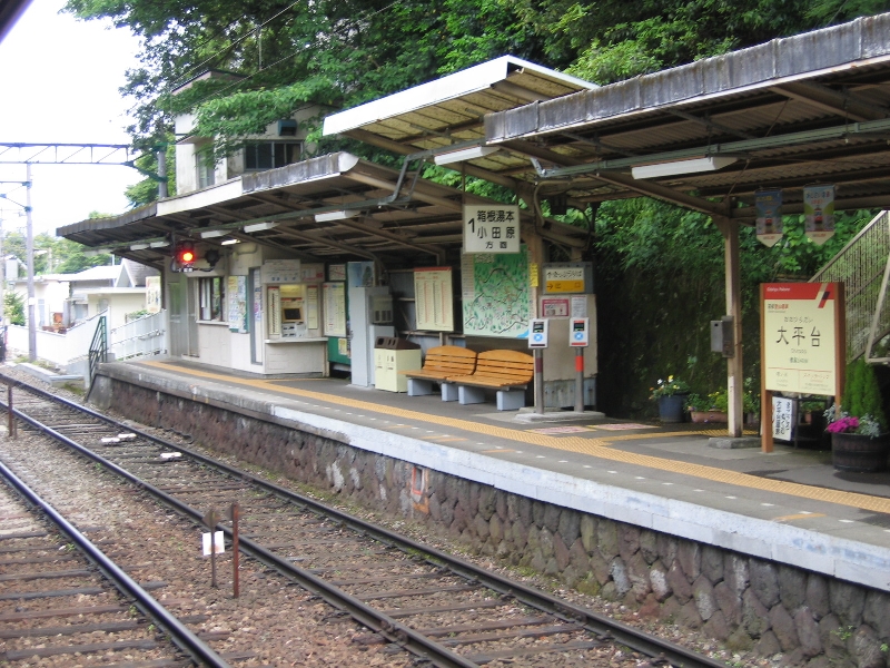 resize_img_2495.jpg