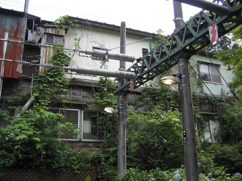 resize_img_2500.jpg