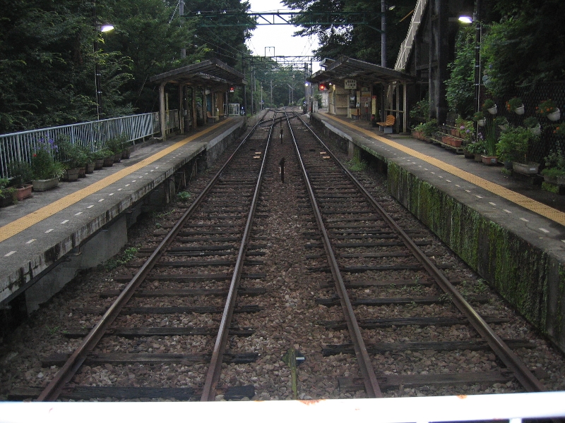 resize_img_2696.jpg