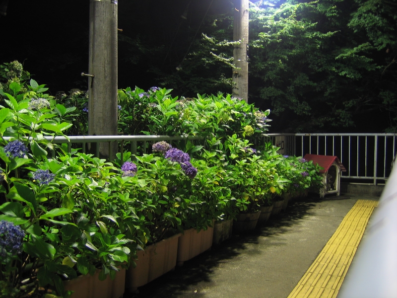 resize_img_2710.jpg