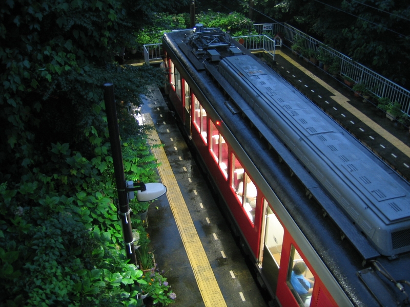 resize_img_2885.jpg