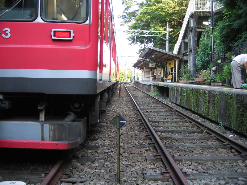 resize_img_2888.jpg