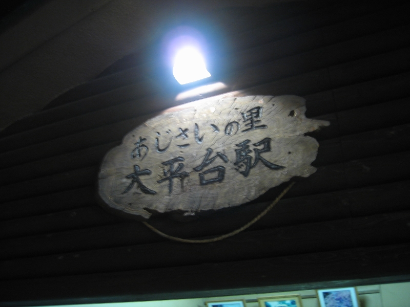 resize_img_2936.jpg