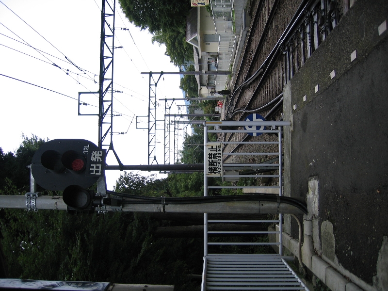 resize_img_3075.jpg