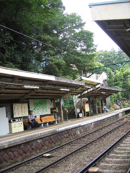 resize_img_3078.jpg