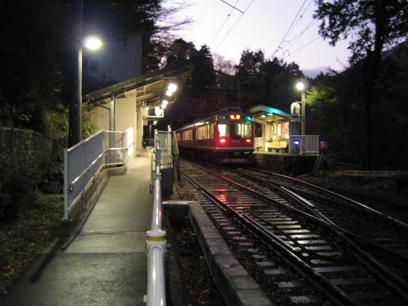 resize_img_3446.jpg