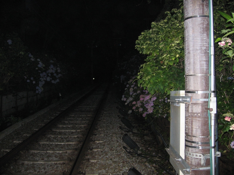 resize_img_2704.jpg