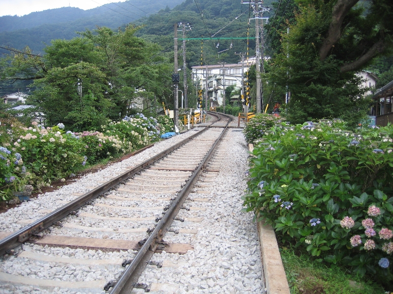 resize_img_2718.jpg