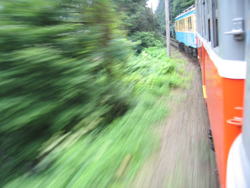 resize_img_2814.jpg