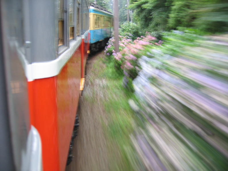 resize_img_2815.jpg