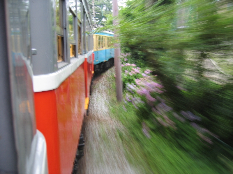 resize_img_2816.jpg